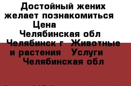  Достойный жених желает познакомиться › Цена ­ 10 000 - Челябинская обл., Челябинск г. Животные и растения » Услуги   . Челябинская обл.